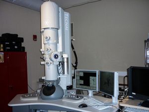 FEI-Tecnai Cryo-Bio 200KV FEG-TEM